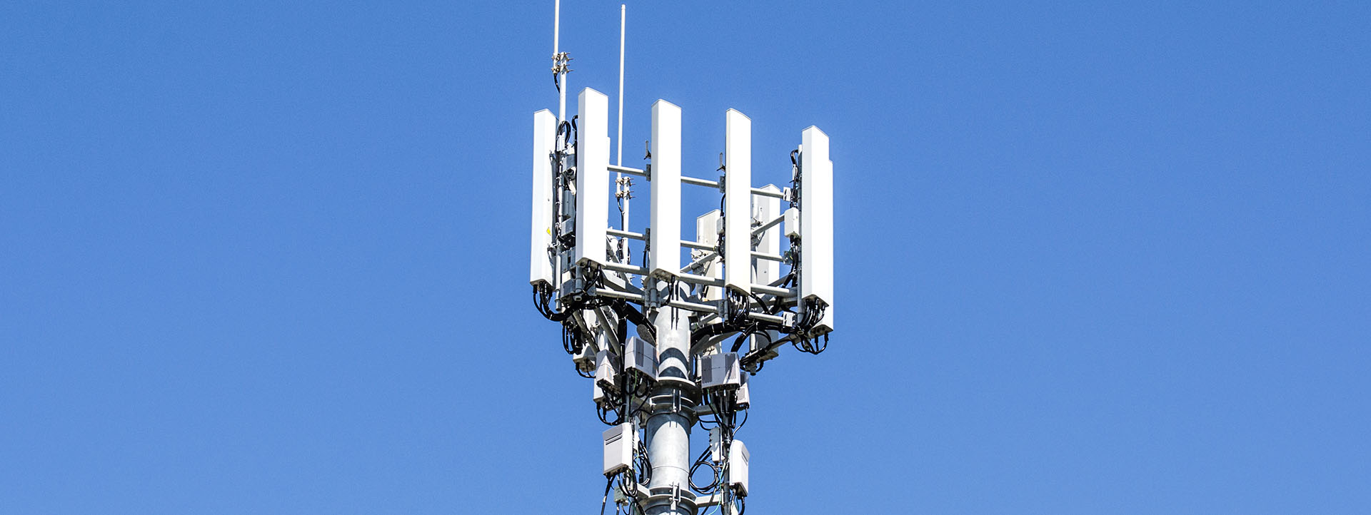 What you need to know about wireless leases What you need to know about wireless leases